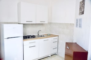 Fridge, stovetop, cookware/dishes/utensils