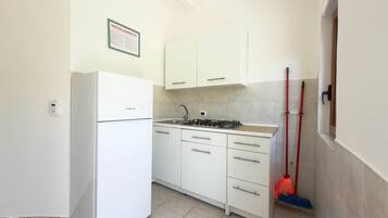 Fridge, stovetop, cookware/dishes/utensils