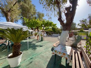 Eine Außenpatio-Terrasse mit Tisch, Stühlen und Topfpflanzen.