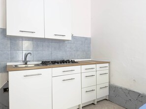 Fridge, stovetop, cookware/dishes/utensils