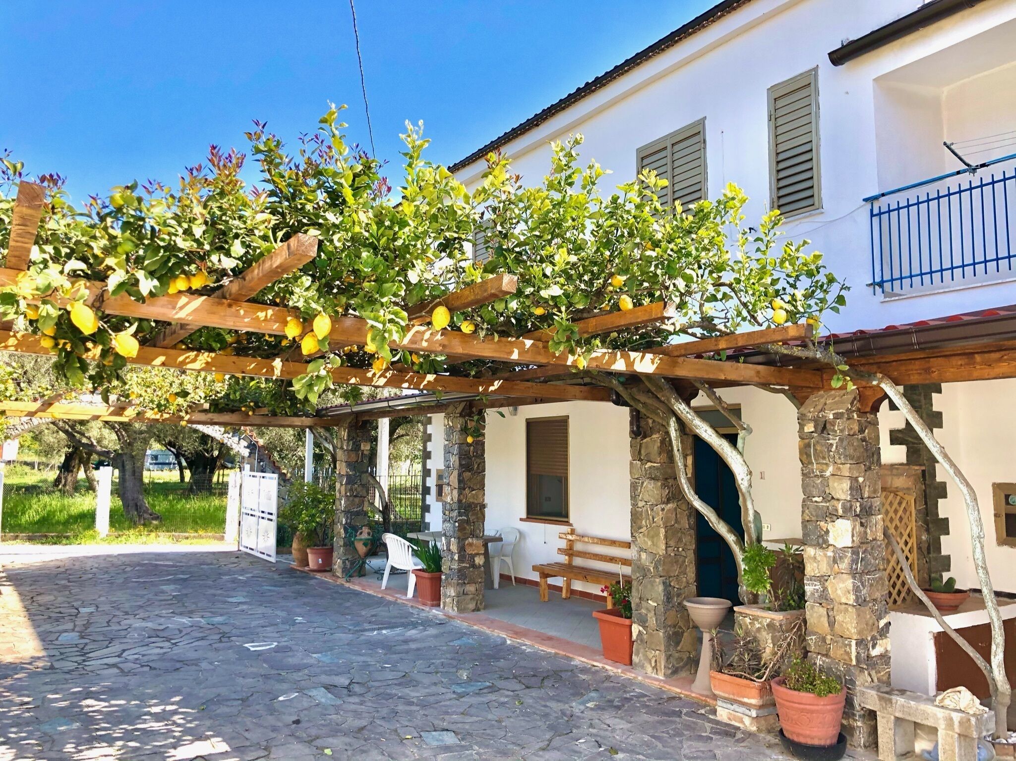 Terrass/Patio