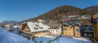 Central apartment Monte Piesnig view