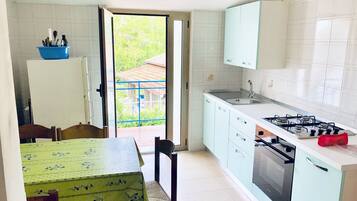 Fridge, oven, stovetop, cookware/dishes/utensils