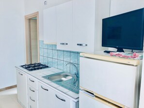 Fridge, stovetop, cookware/dishes/utensils
