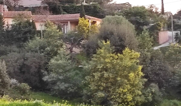 A residential area with a house surrounded by dense greenery and trees. - Small house near Saint-Clair Beach in Le Lavandou (Le Lavandou)