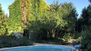 Ein Schwimmbad, umgeben von üppiger Vegetation und einer Steinmauer.