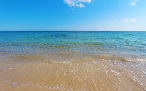 Vlak bij het strand