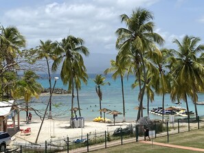 Una playa con palmeras, una orilla arenosa y una vista despejada del océano.