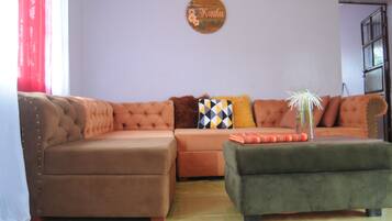 Televisión, chimenea, Netflix y servicios de streaming