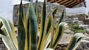 Unclassified image, 4 of 25, button - Charming Private Greek Heritage Retreat (Tavros) (Mykonos-Town)