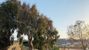 A landscaped garden with trees, a stone wall, and a view of distant buildings. - Charming Private Greek Heritage Retreat (Tavros) (Mykonos-Town)