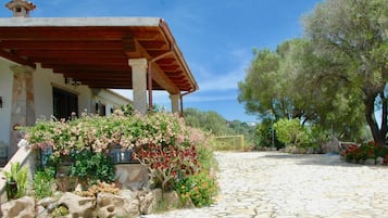 Área da propriedade