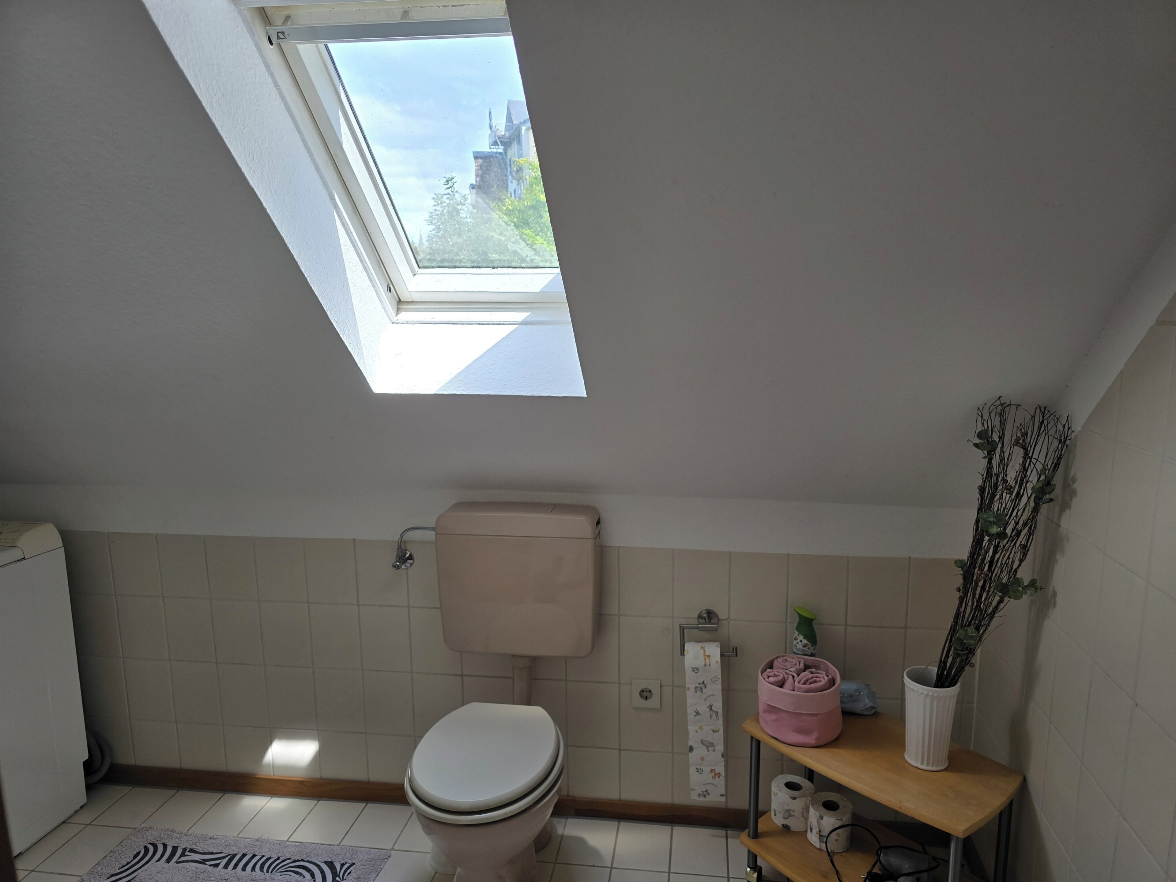 A small bathroom with a skylight, a toilet, a sink, and a shelf with toiletries.