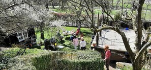 Overnattingsstedets uteområder