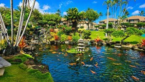 A koi pond with rocks and a pagoda, surrounded by tropical plants and palm trees. - Unbeatable Ocean Front Condo  Pono Kai Resort C302 (Kapa'a)
