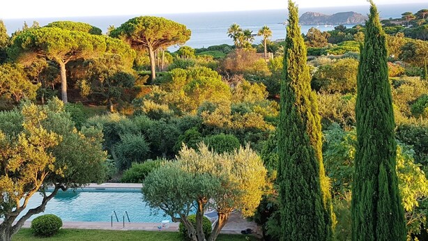 A landscaped garden with a pool, tall cypress trees, and a view of the sea. - St Tropez, large park, unbelievable view sea-forests-hills, 8 bedroom, pool 65ft (Ramatuelle)