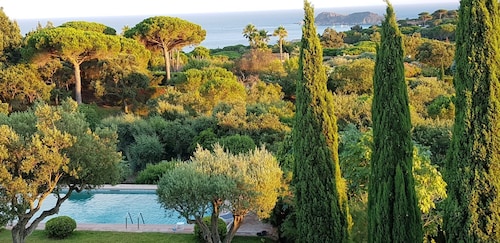 St Tropez, large park, unbelievable view sea-forests-hills, 8 bedroom, pool 65ft