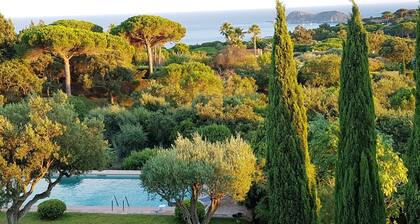 St Tropez, large park, unbelievable view sea-forests-hills, 8 bedroom, pool 65ft