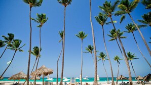 Una playa con altas palmeras, sombrillas de techo de paja y tumbonas.