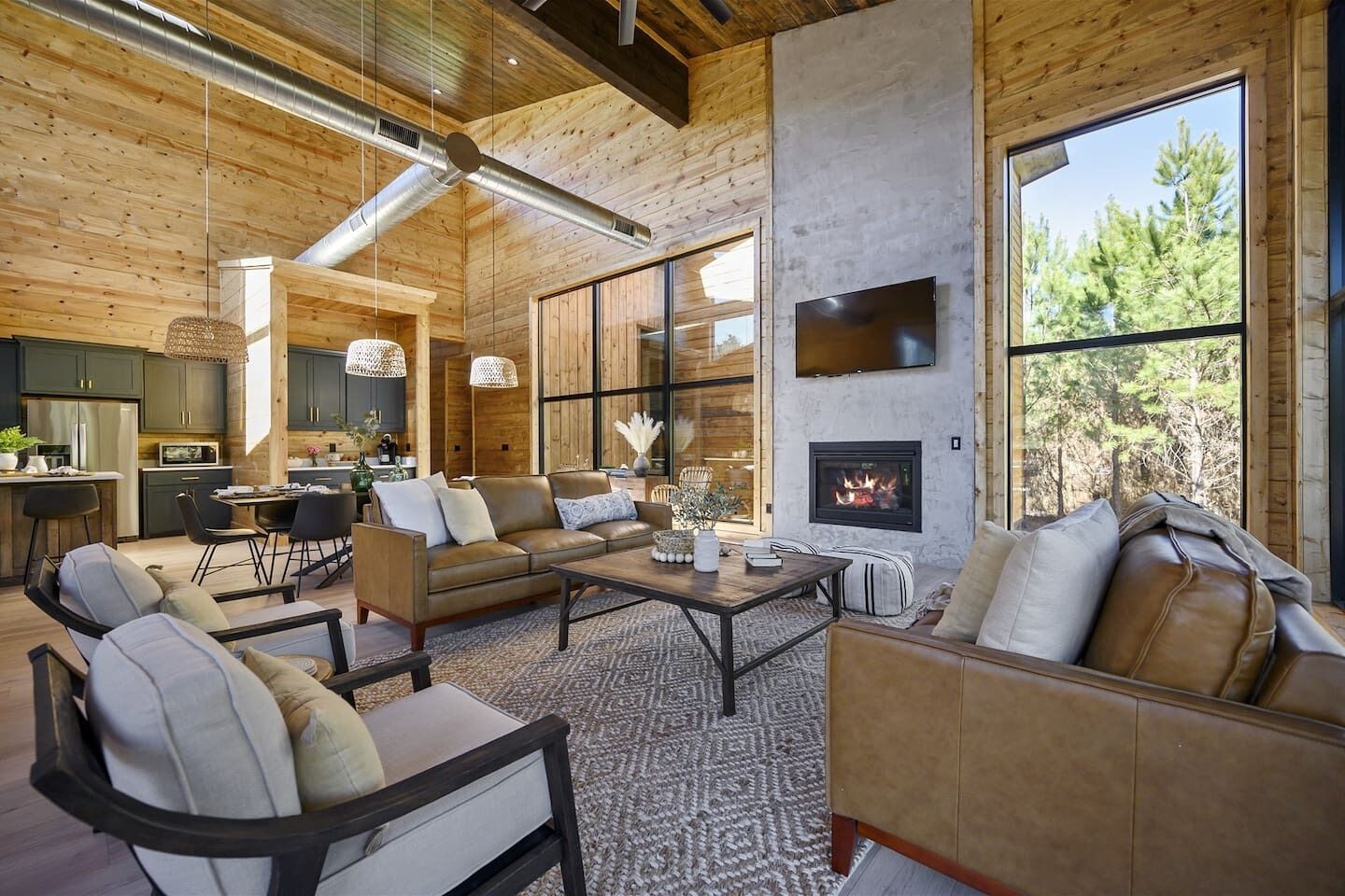 Best renting cabin, 30ft vaulted ceilings, playgro