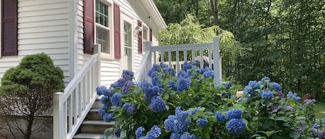 Bungalow, 1 habitación | Exterior