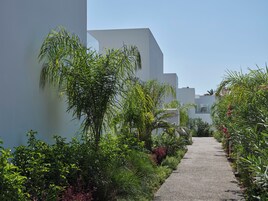 Jardín