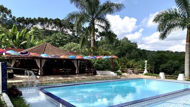 Una piscina con bordes de azulejos, rodeada de exuberante vegetación y palmeras.
