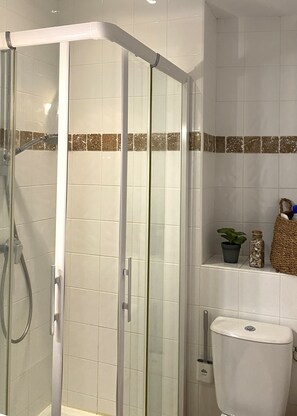 Regadera, secadora de cabello, papel de baño