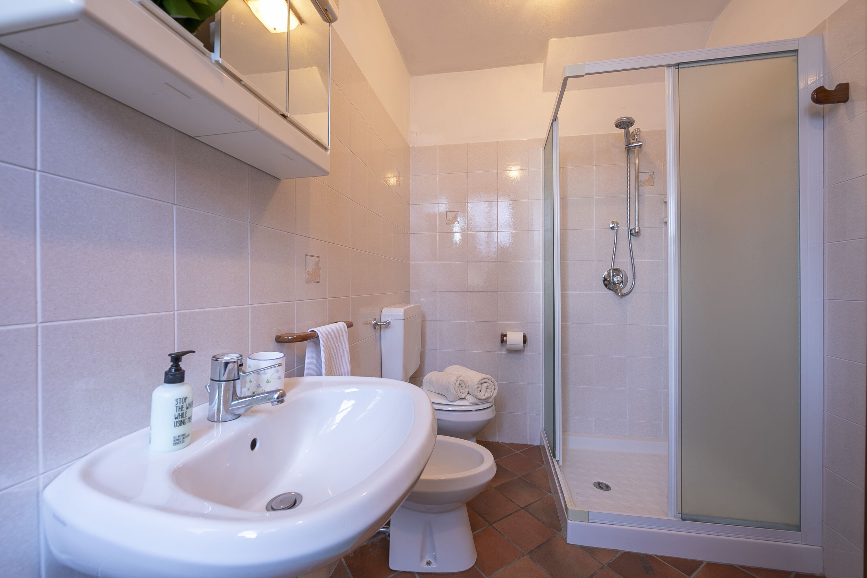 Il Vigneto Sul Lago Vineyard Lake View