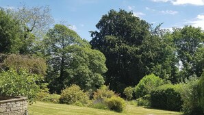 Ein gepflegter Garten mit Steinmauer, verschiedenen Sträuchern und hohen Bäumen.