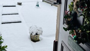Un espace extérieur enneigé avec des marches menant à une porte, un banc et un pot de fleurs.