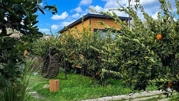 Senior Room | Free minibar, in-room safe, bed sheets