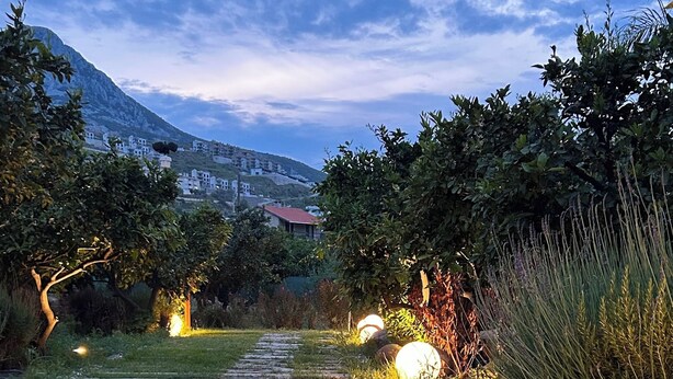 Ein steiniger Pfad führt durch einen Garten mit Gras und Pflanzen, umgeben von Bäumen und einem Berg im Hintergrund.