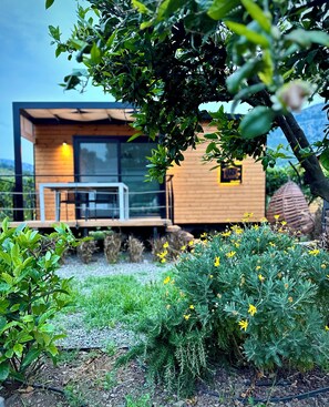 Minibar con artículos gratuitos y caja de seguridad en la habitación 