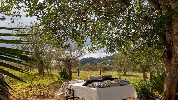 Un lit installé sous un arbre, dans une zone herbeuse, avec une vue sur des collines en arrière-plan.