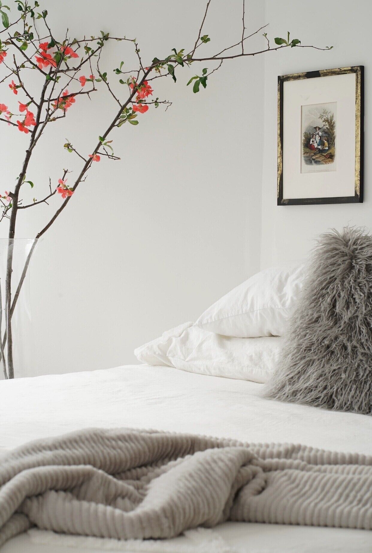 The 212 Escape - Main House