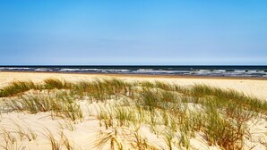 En strand med sanddyner och havet i bakgrunden.