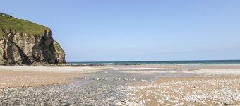 Tolcarne