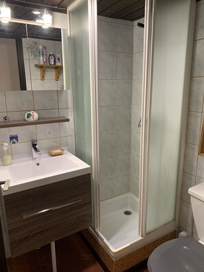 Shower, hair dryer, toilet paper