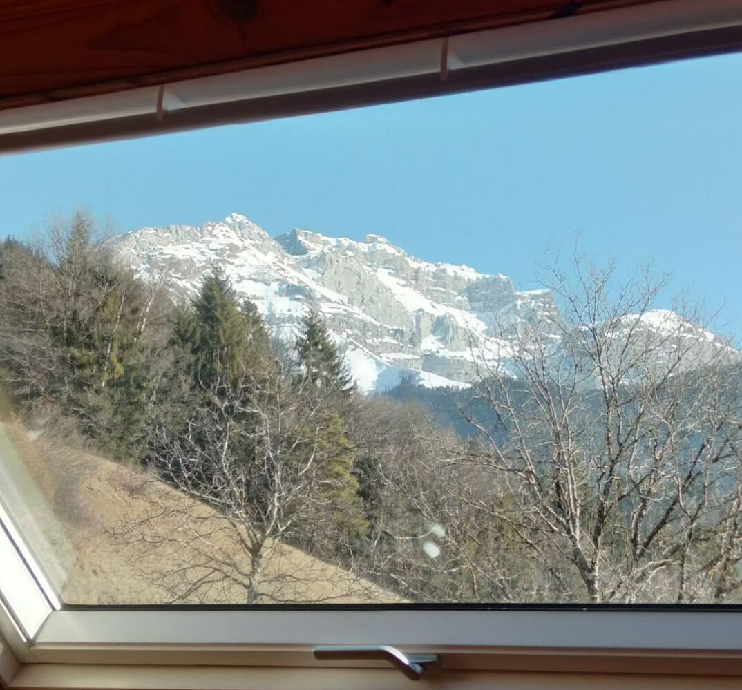 vue vélux chambre