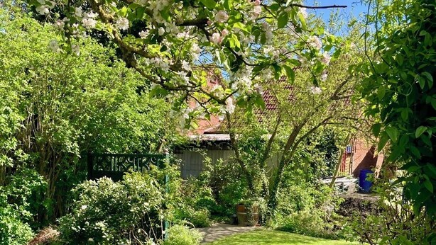 Ein üppiger Garten mit einem Weg zu einem Gebäude.