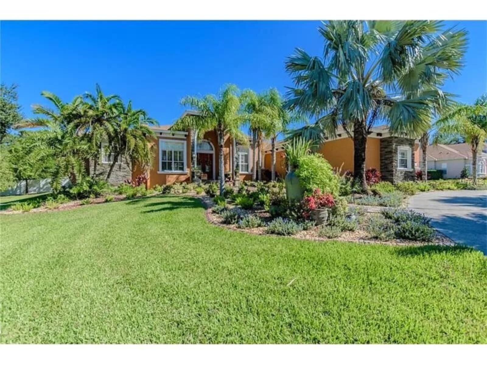 Holiday apartment New Port Richey for 1 - 2 persons with 1 bedroom - Holiday apartment