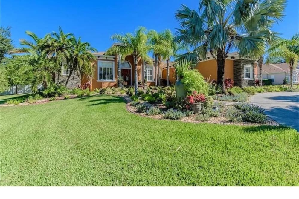 Holiday apartment New Port Richey for 1 - 2 persons with 1 bedroom - Holiday apartment