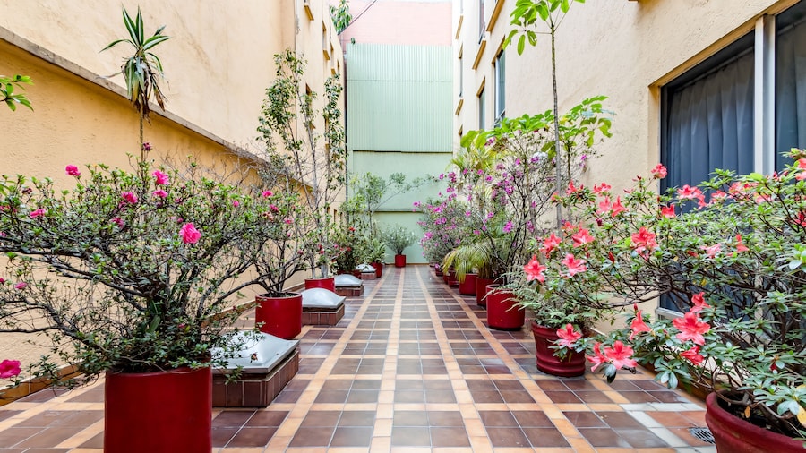 OYO Hotel Hidalgo