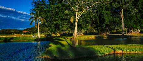 Installations sportives