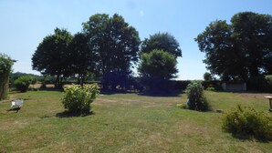 A grassy outdoor area with trees and a bench.