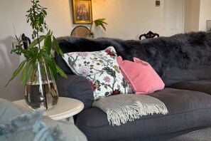 Smart-TV, Kamin, Netflix, Bücher