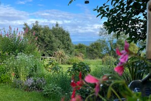 A garden with various plants and flowers, a wooden fence, and a clear sky.