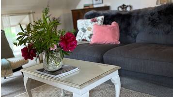 Smart TV, fireplace, Netflix, books