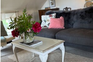 Smart-TV, Kamin, Netflix, Bücher